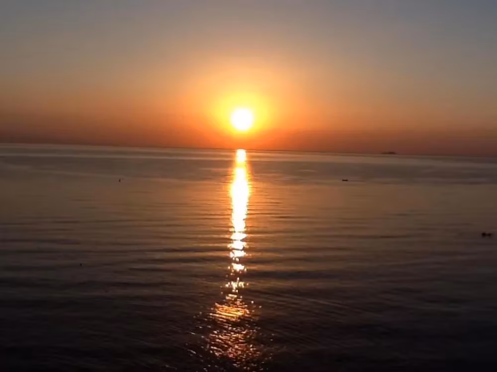 image url