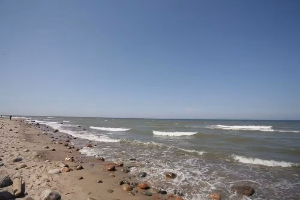 image url