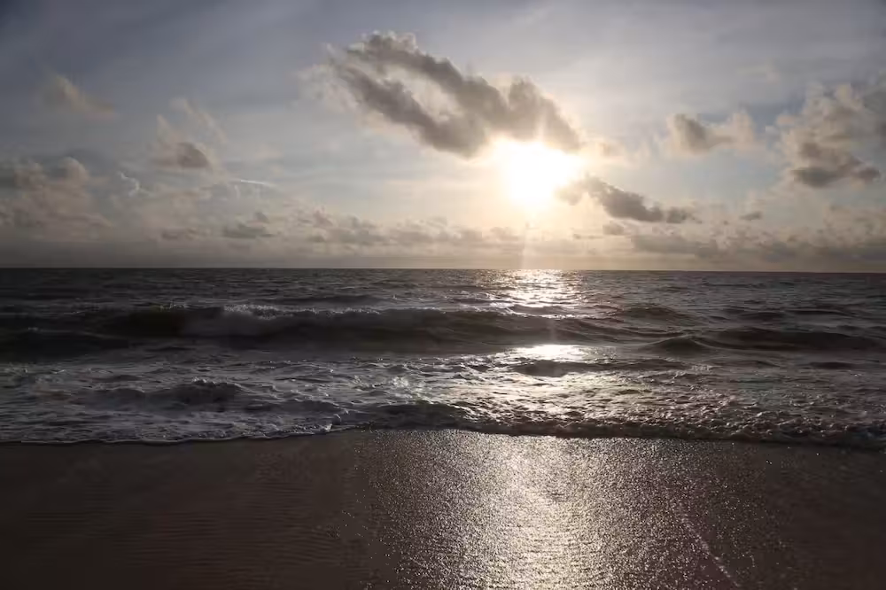 image url