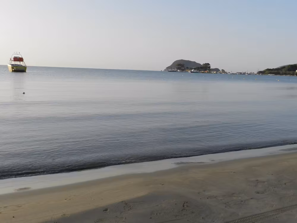 image url