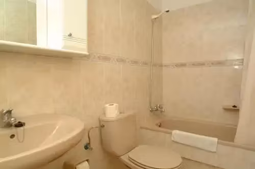 image url