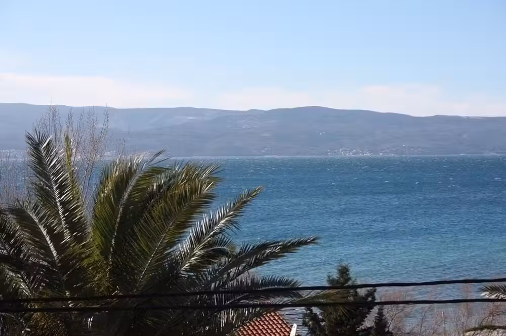 image url