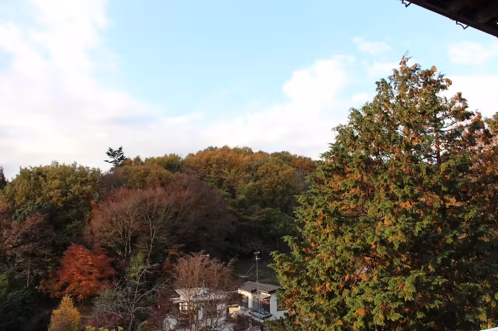 image url