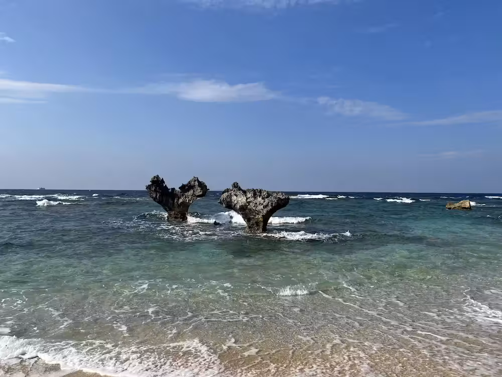 image url