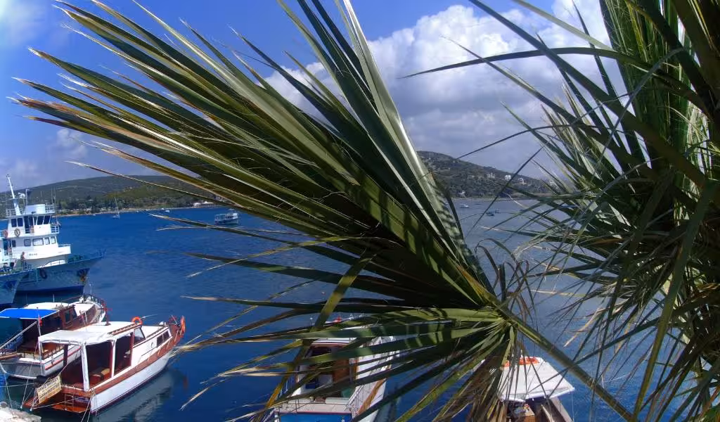 image url
