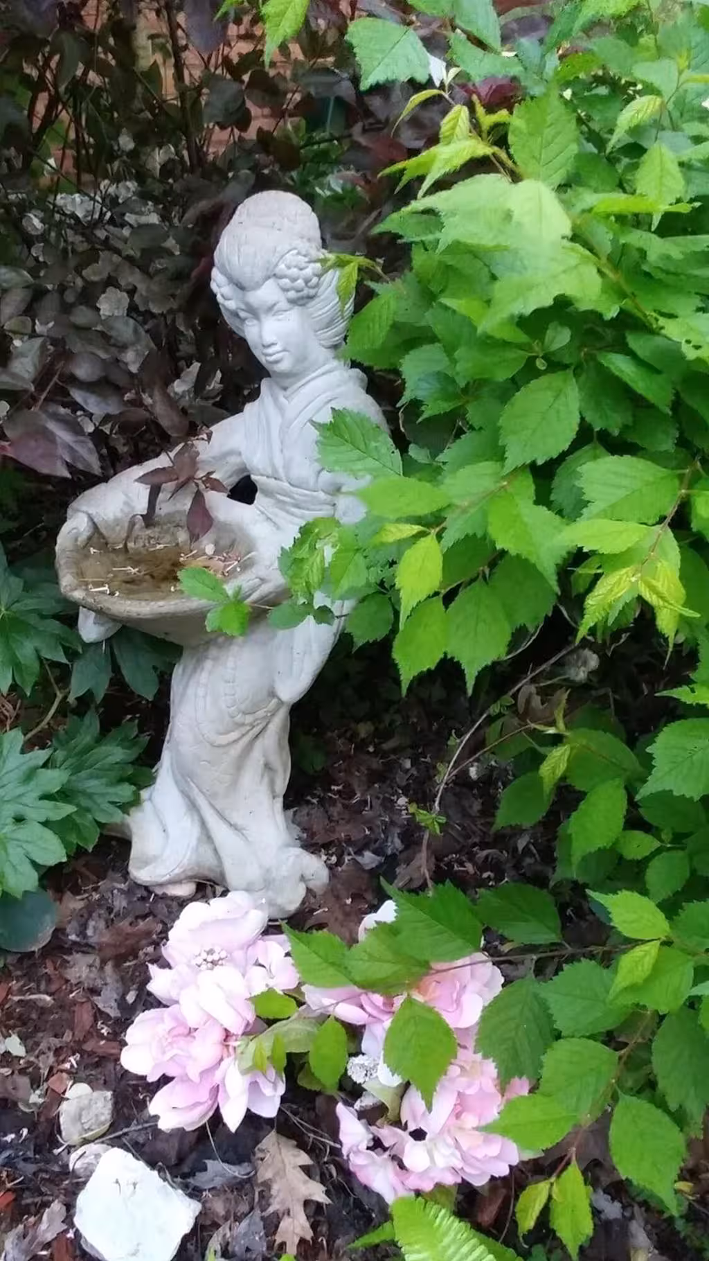 image url