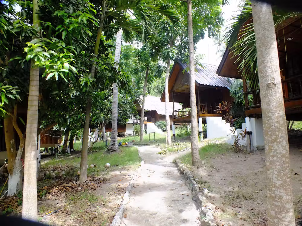 image url