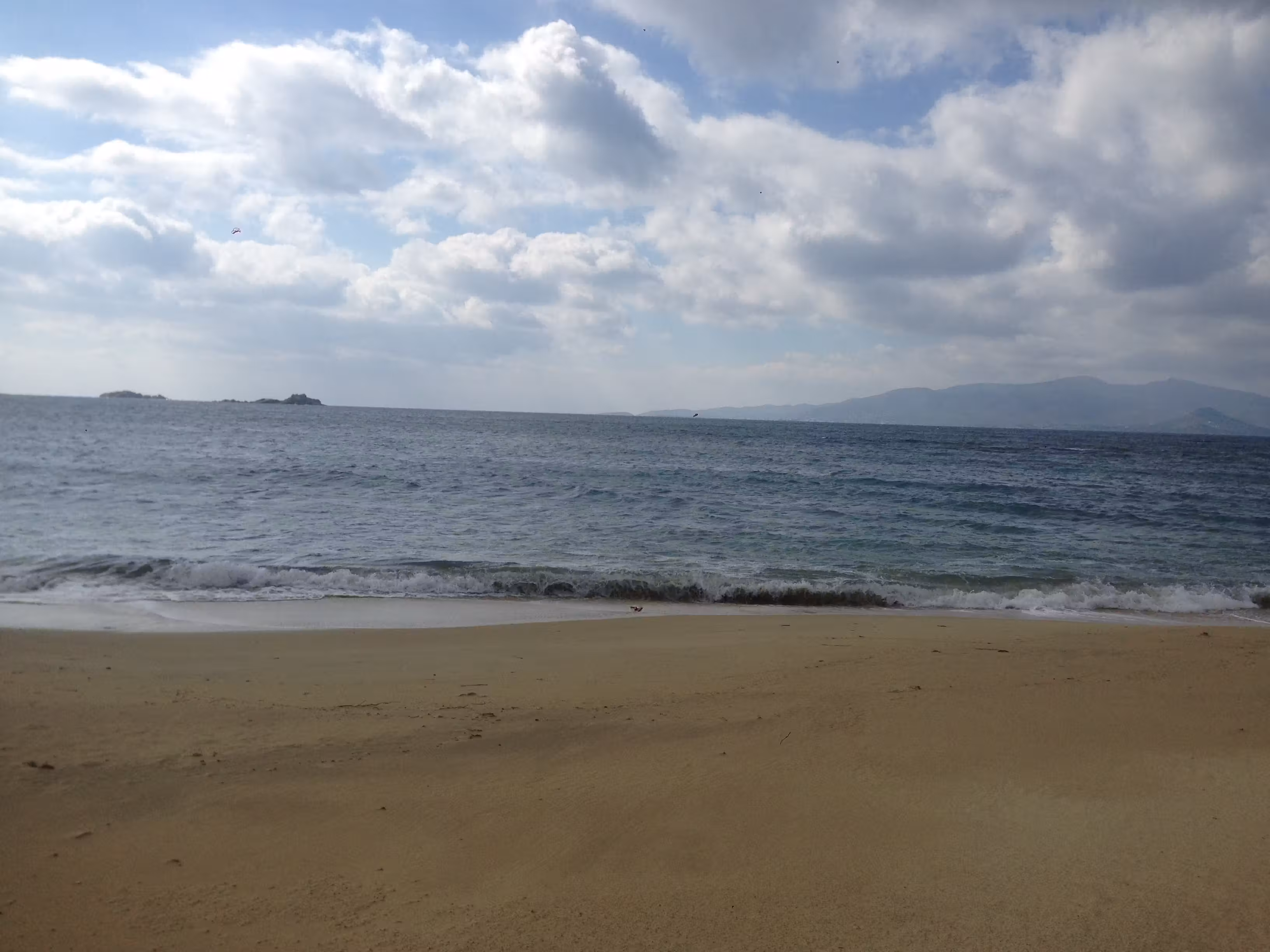 image url