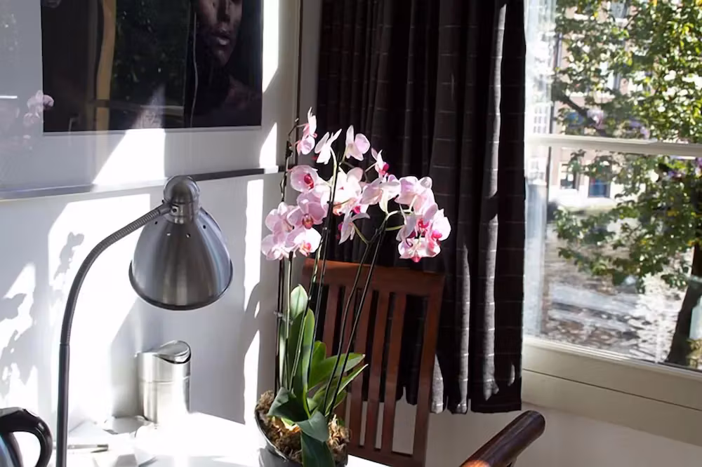image url