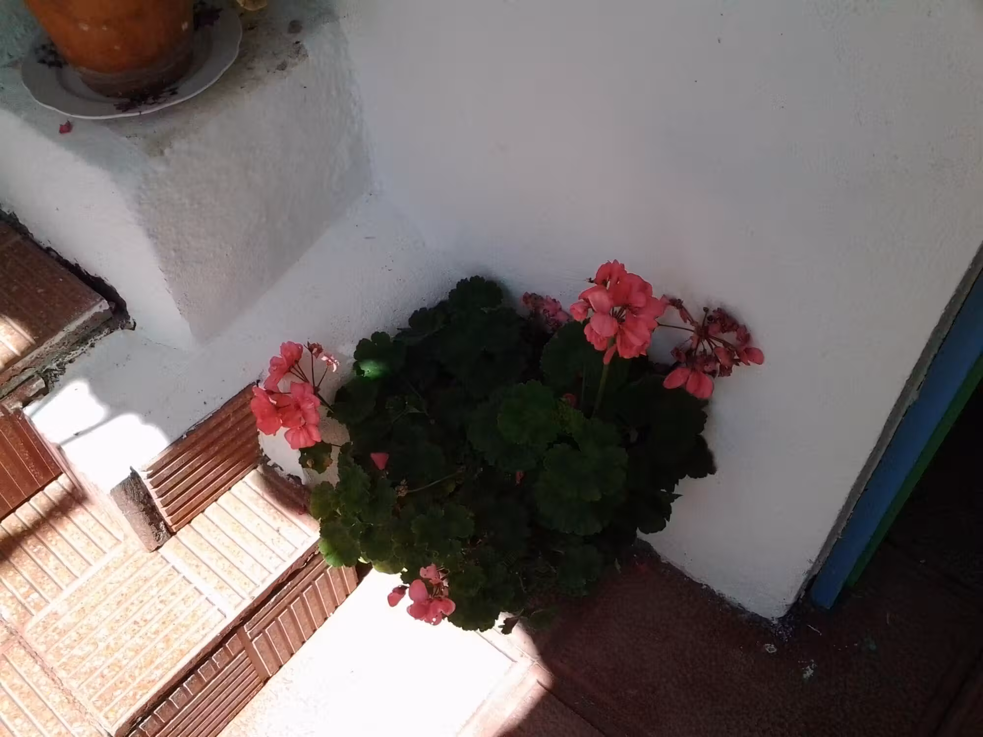 image url