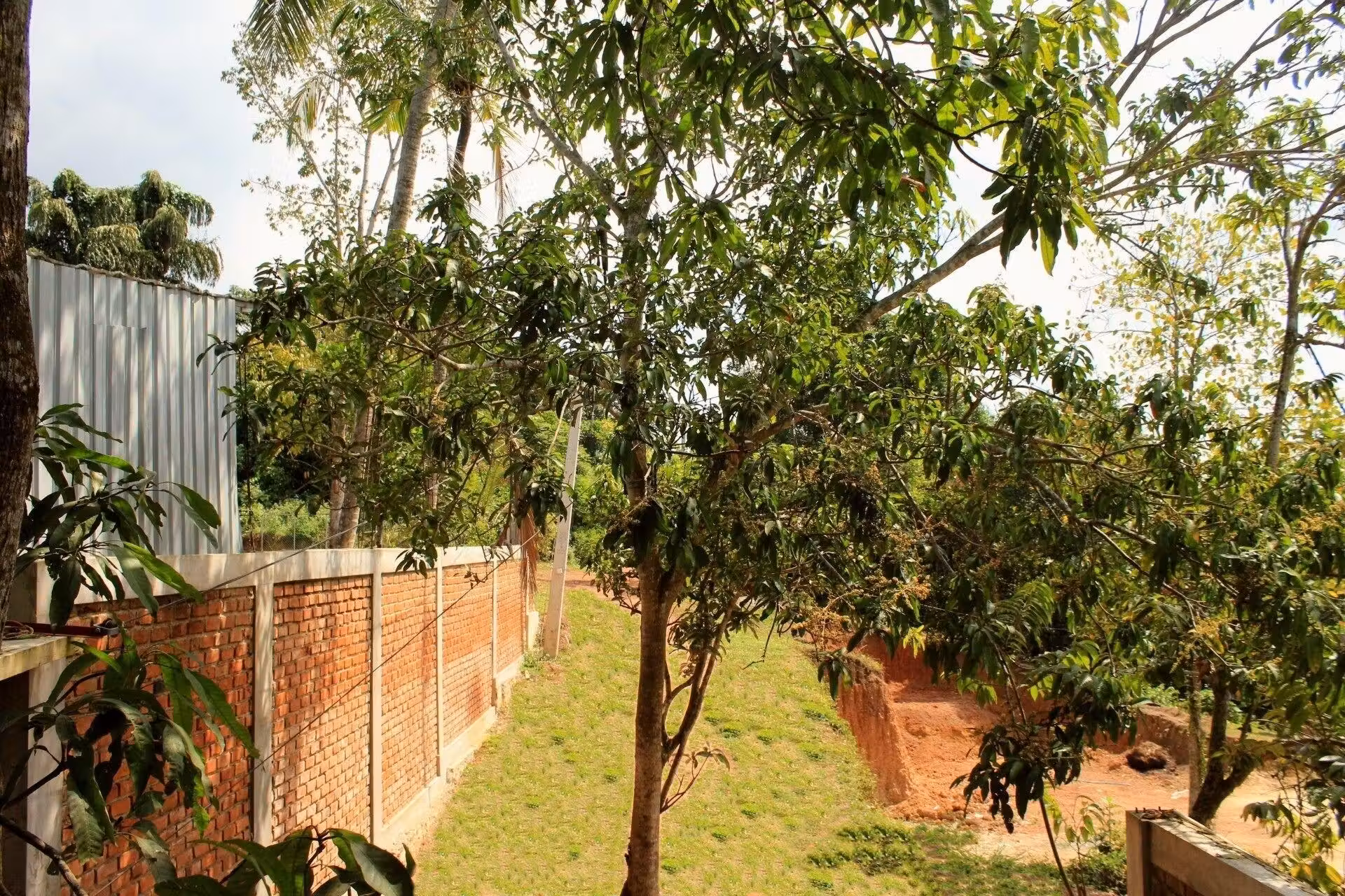 image url