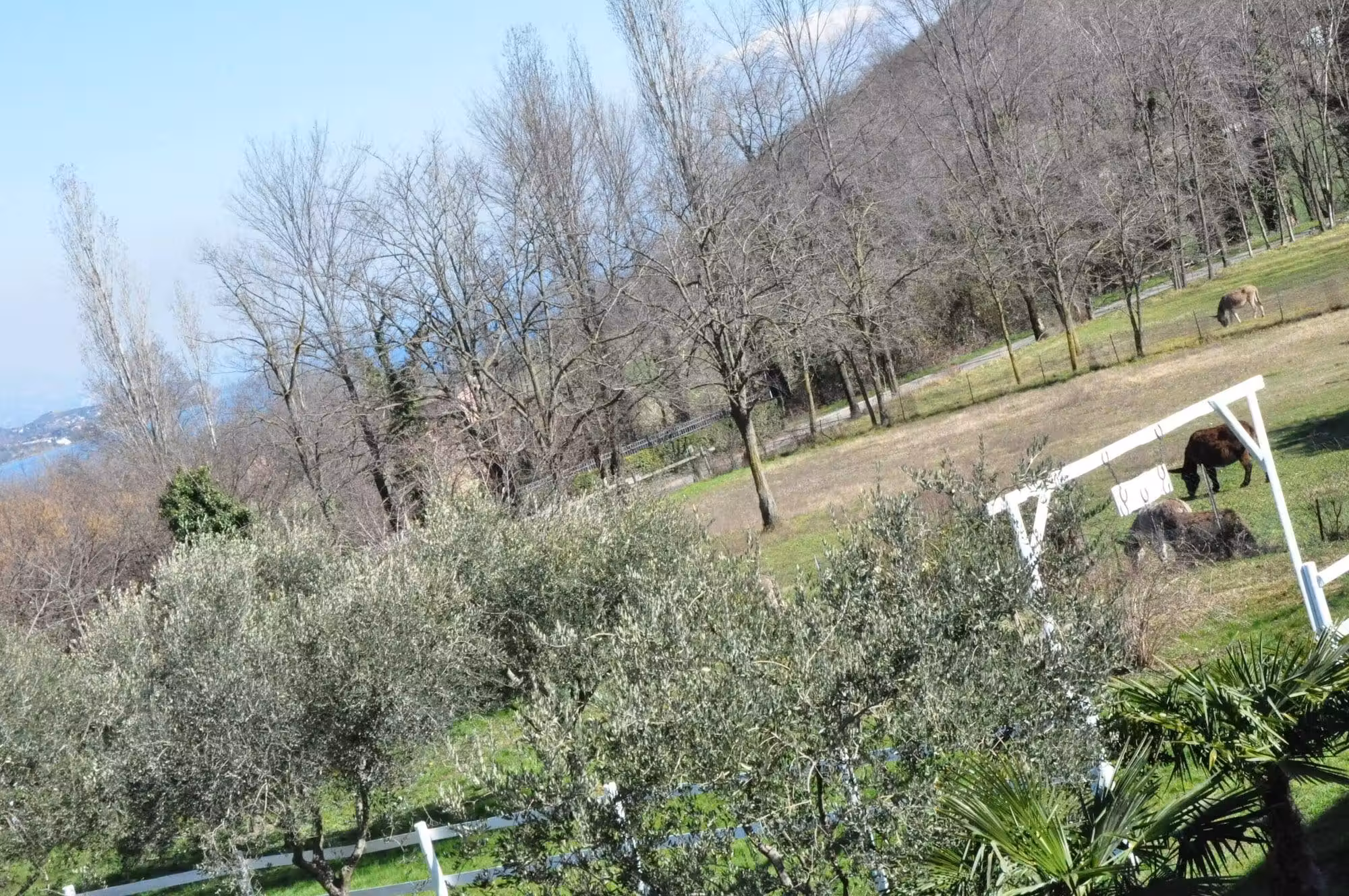 image url