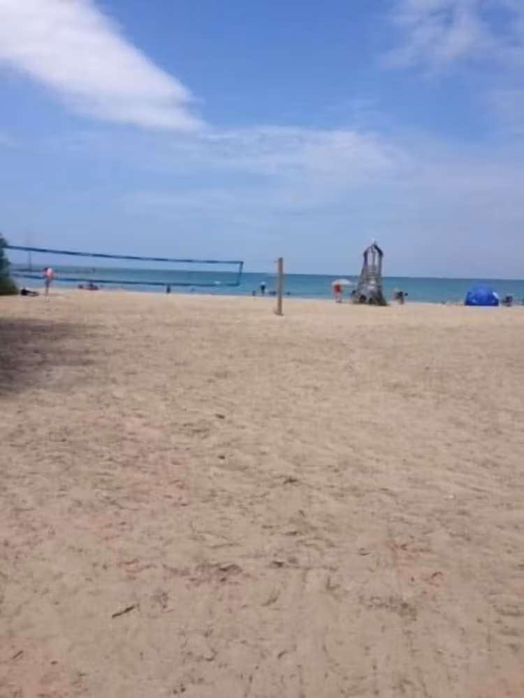 image url