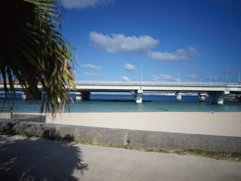 image url