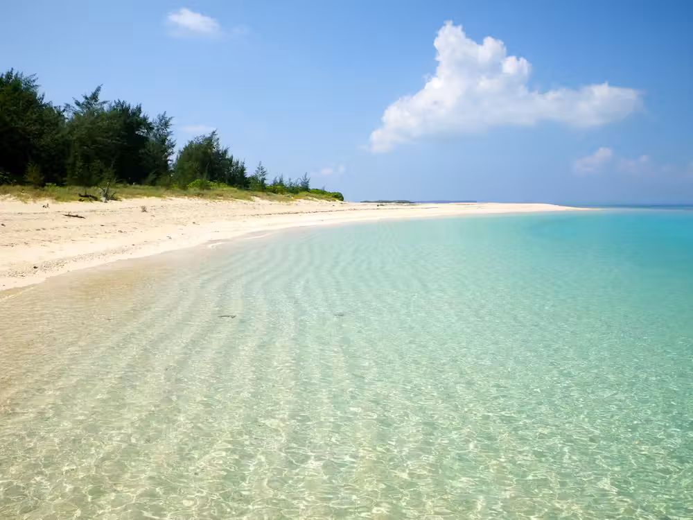 image url