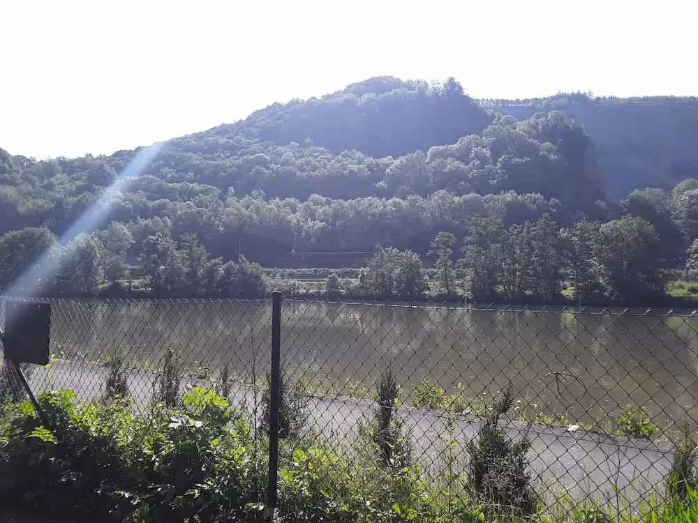 image url