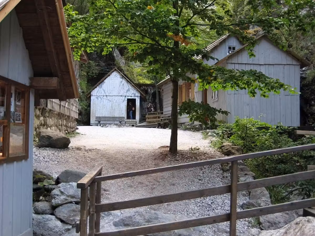 image url