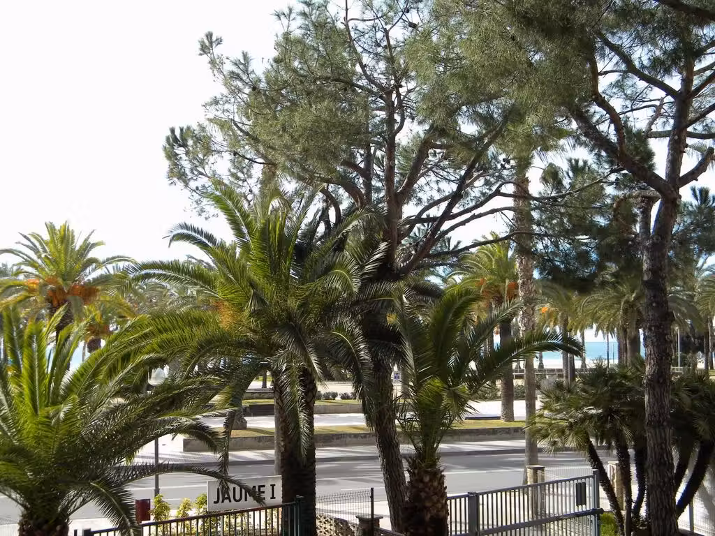 image url