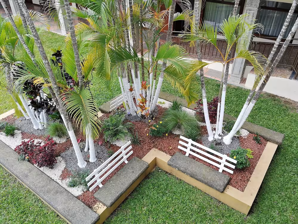 image url