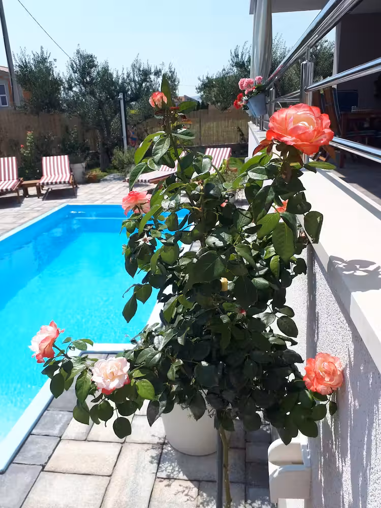 image url