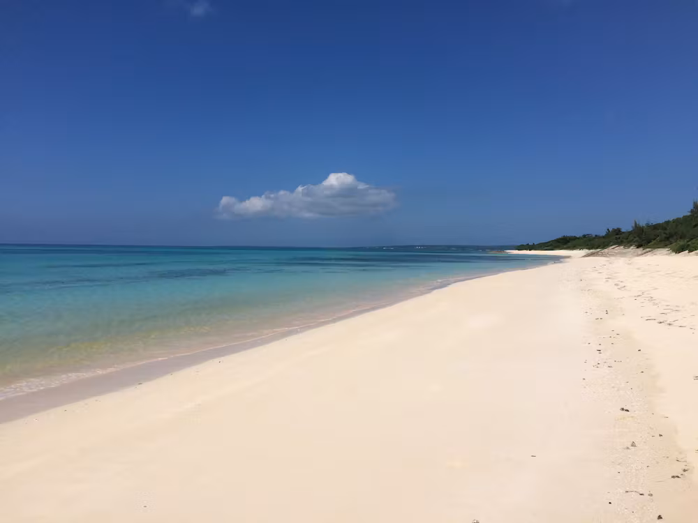 image url