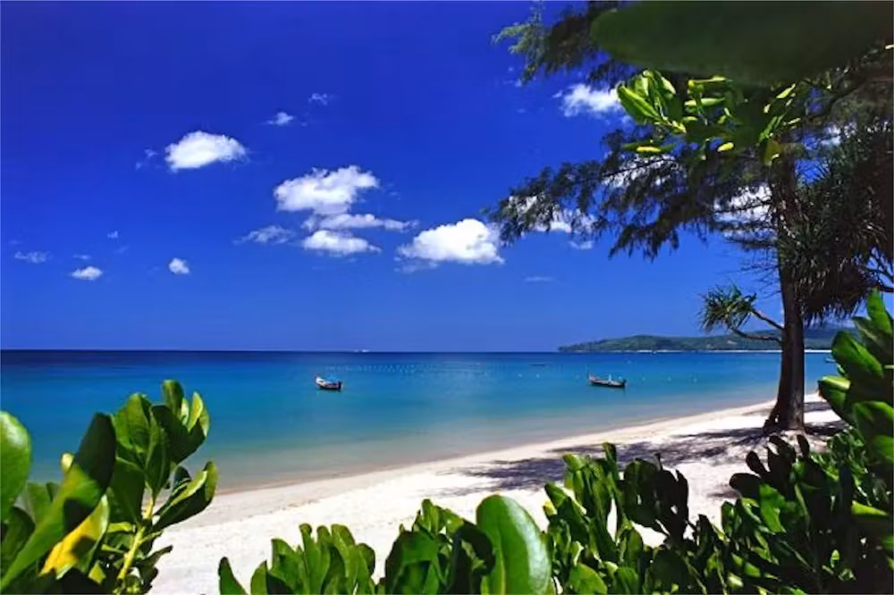 image url