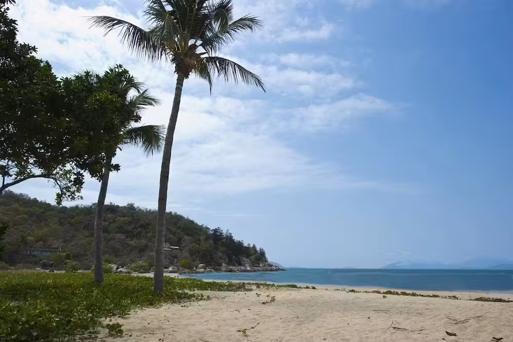 image url