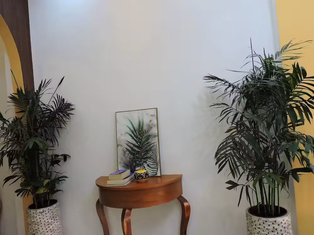 image url