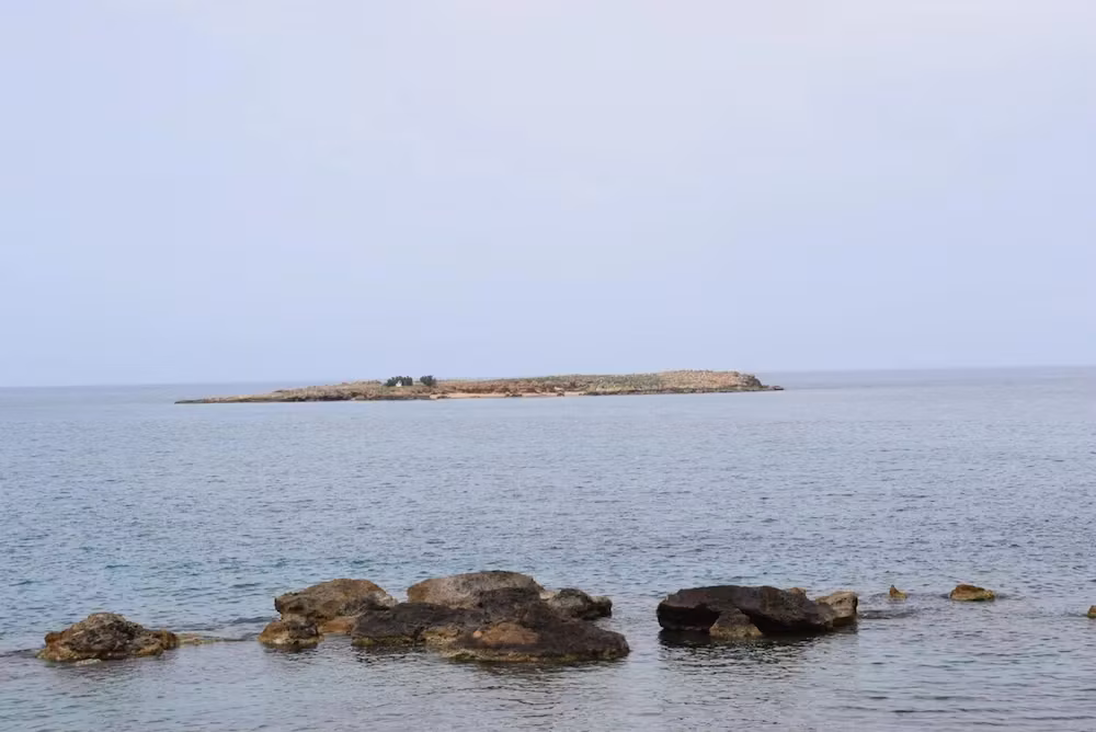 image url