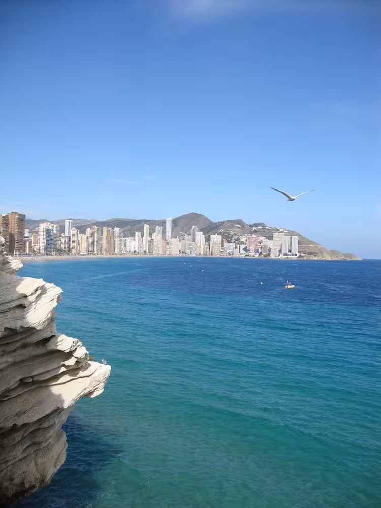 image url