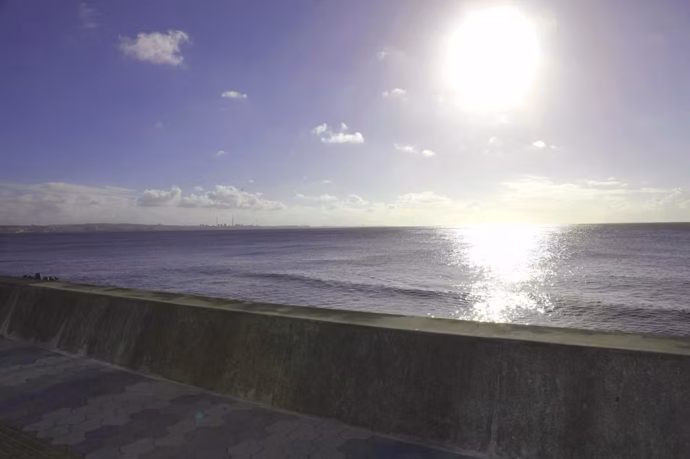 image url