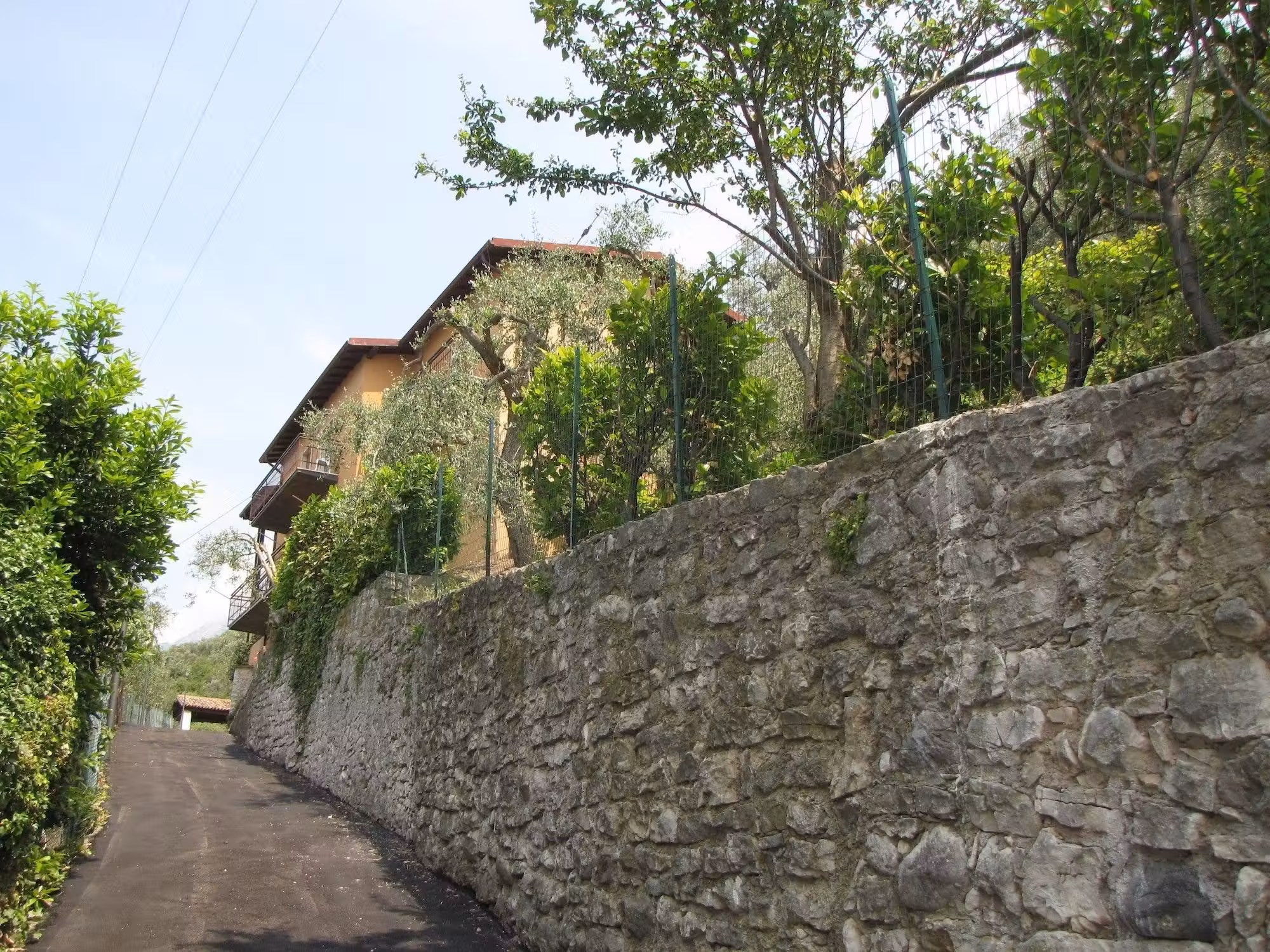 image url