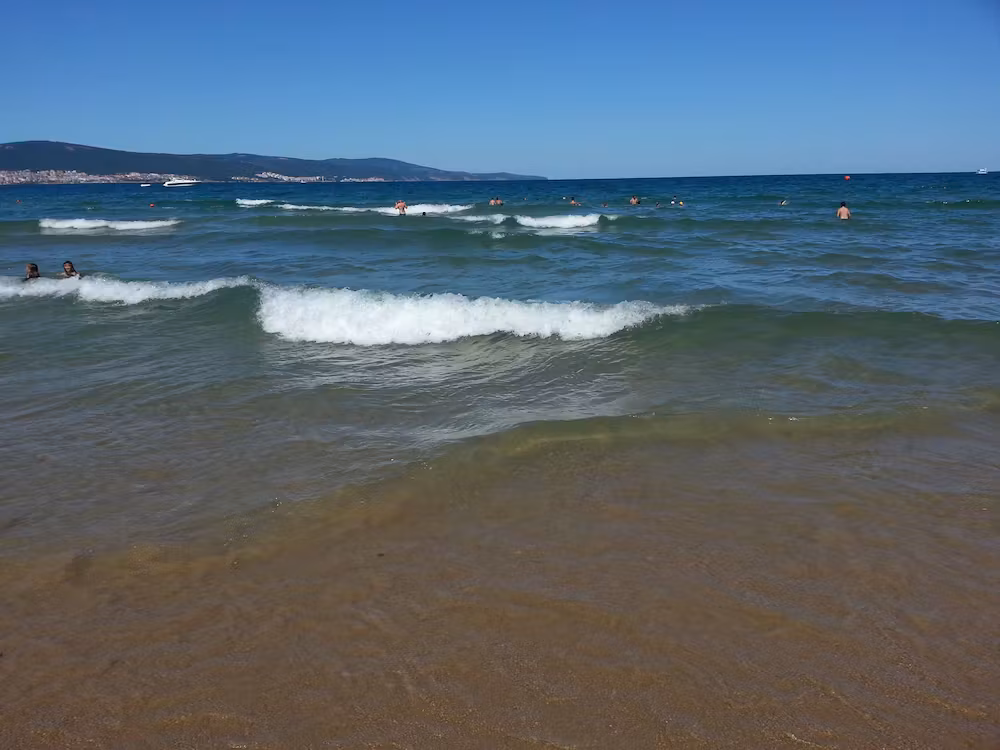image url