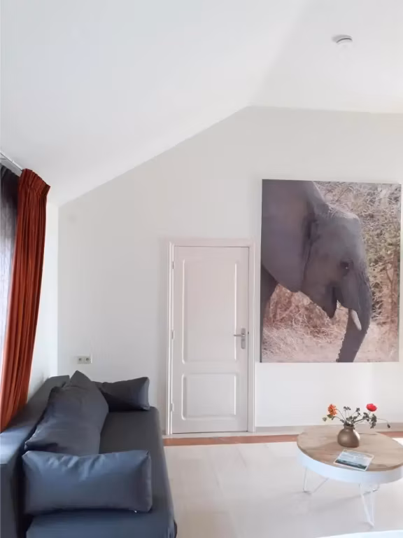 Hotel gallery