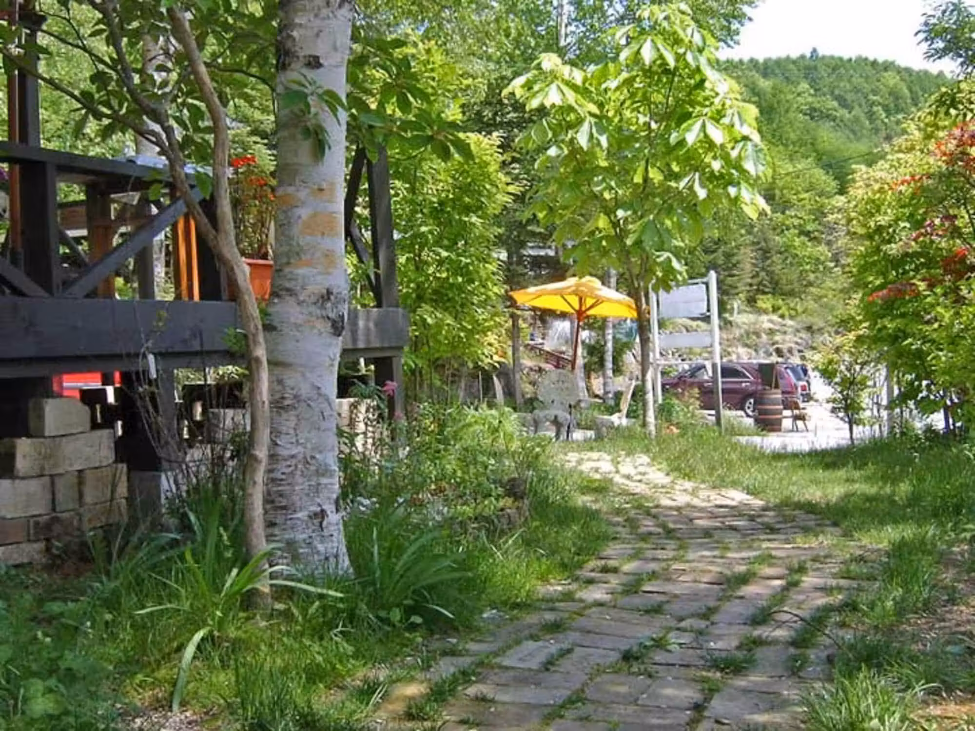 image url