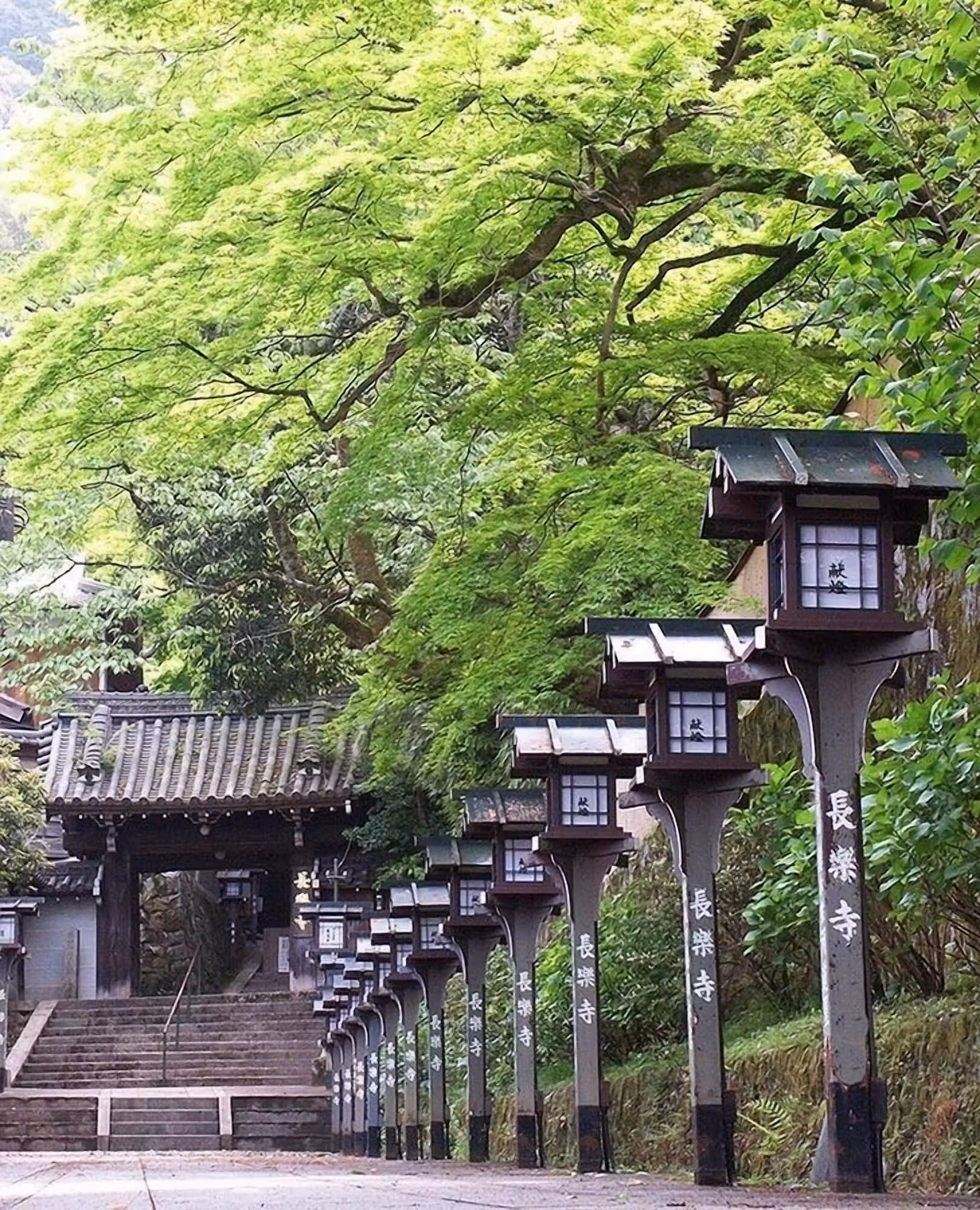 image url