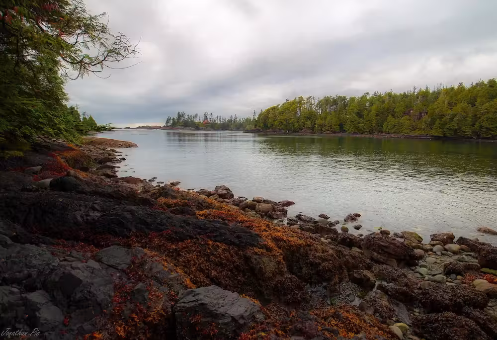image url