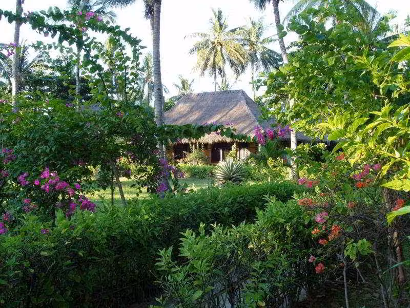 image url