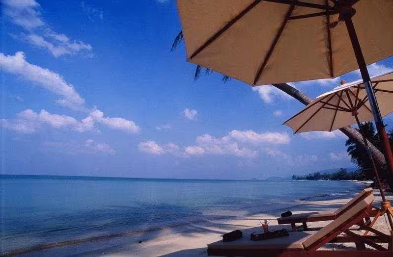 image url