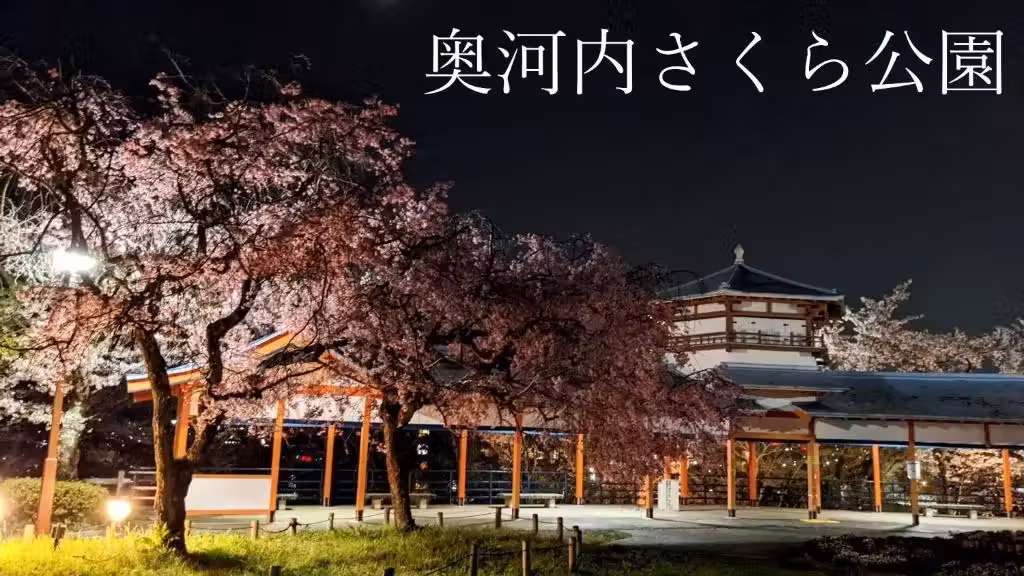 image url