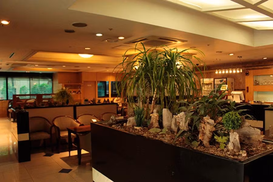 image url