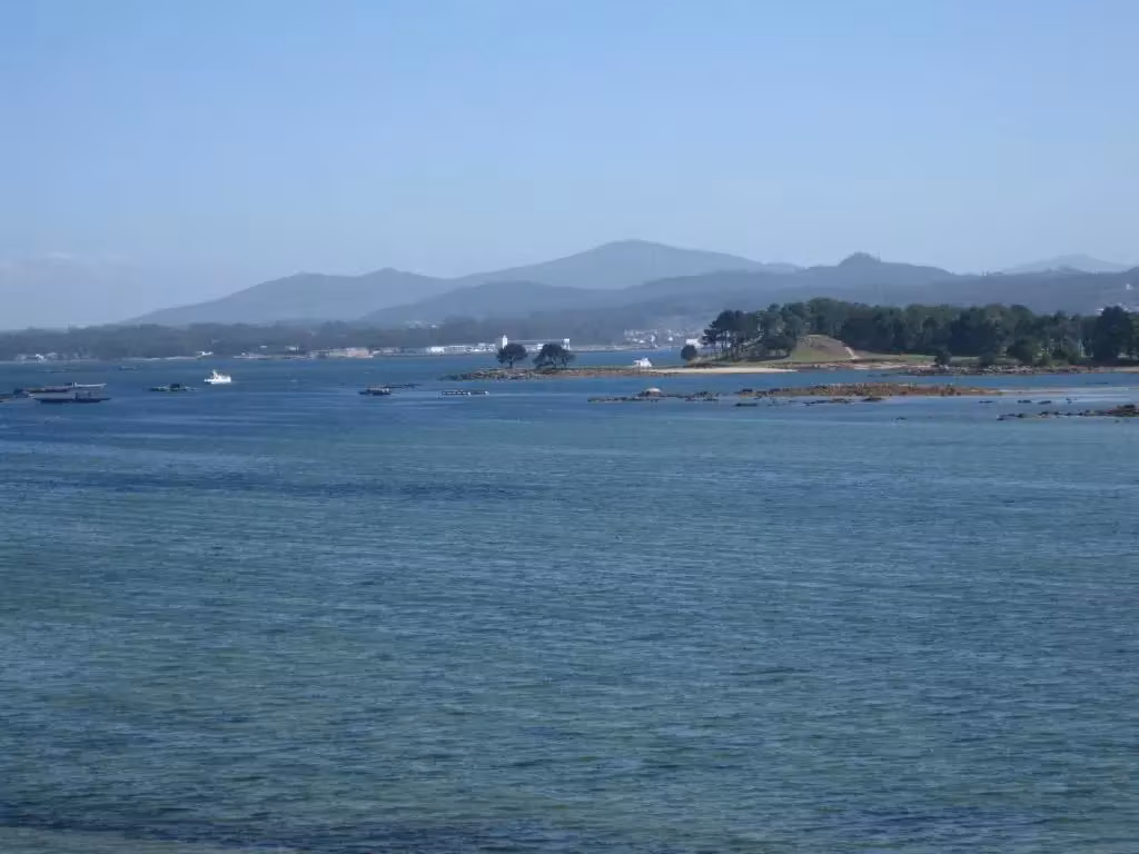 image url