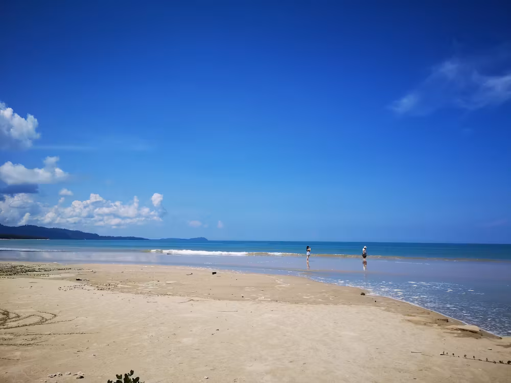 image url