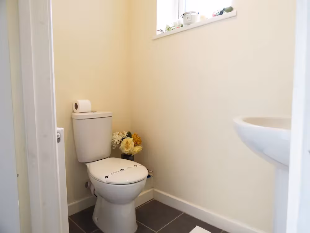 image url