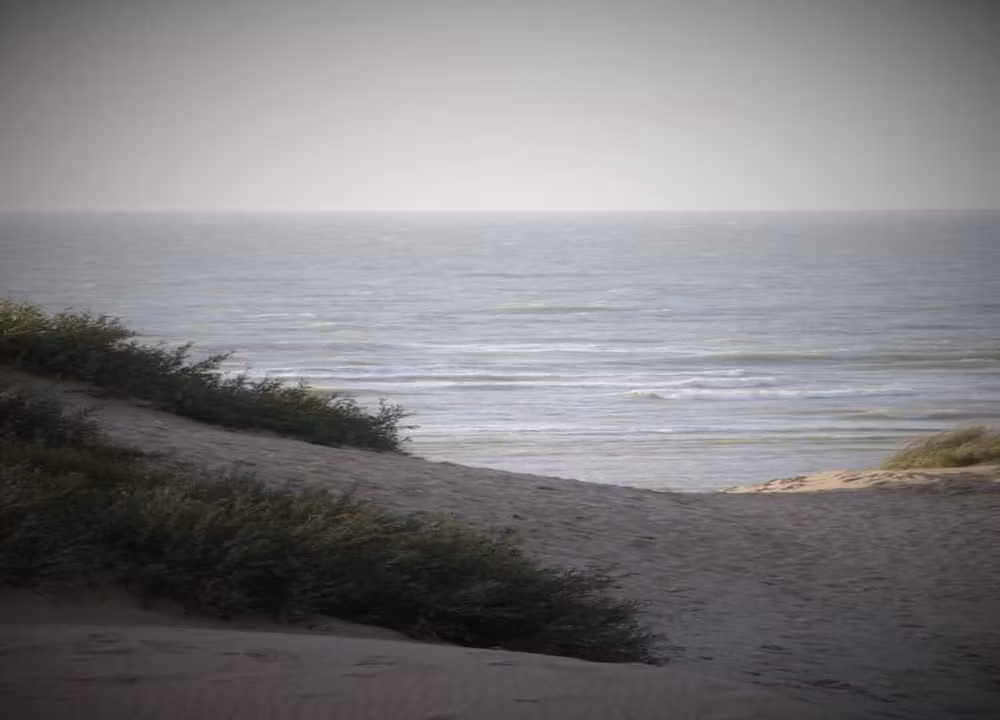image url