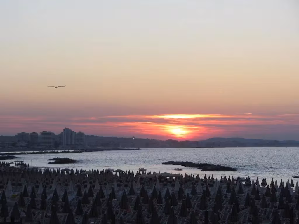 image url