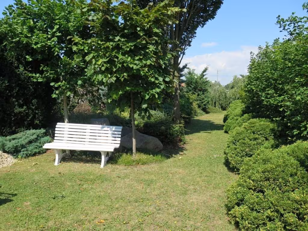 image url