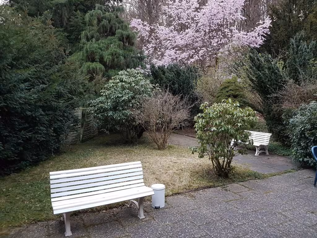 image url