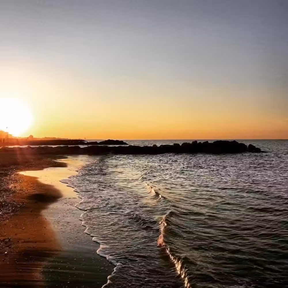 image url