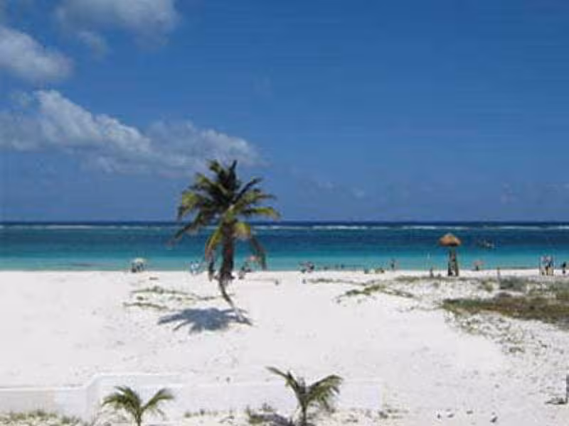 image url